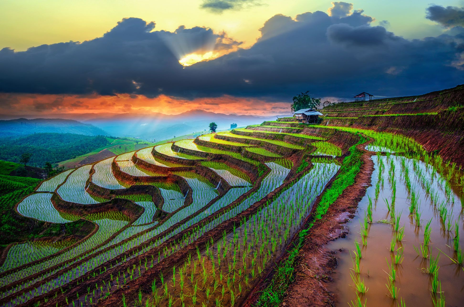 SLIDER-3BALI