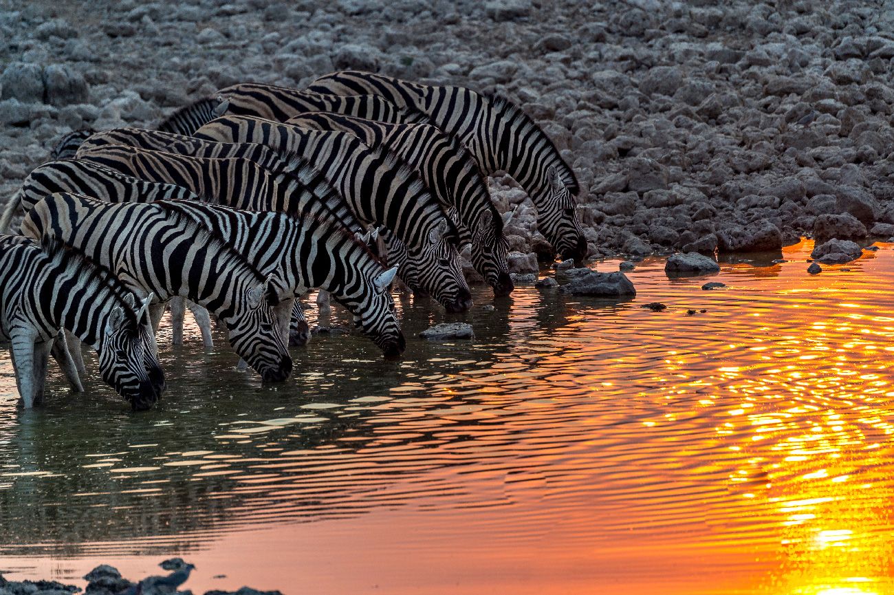 NAMIBIA-DESTINOS1