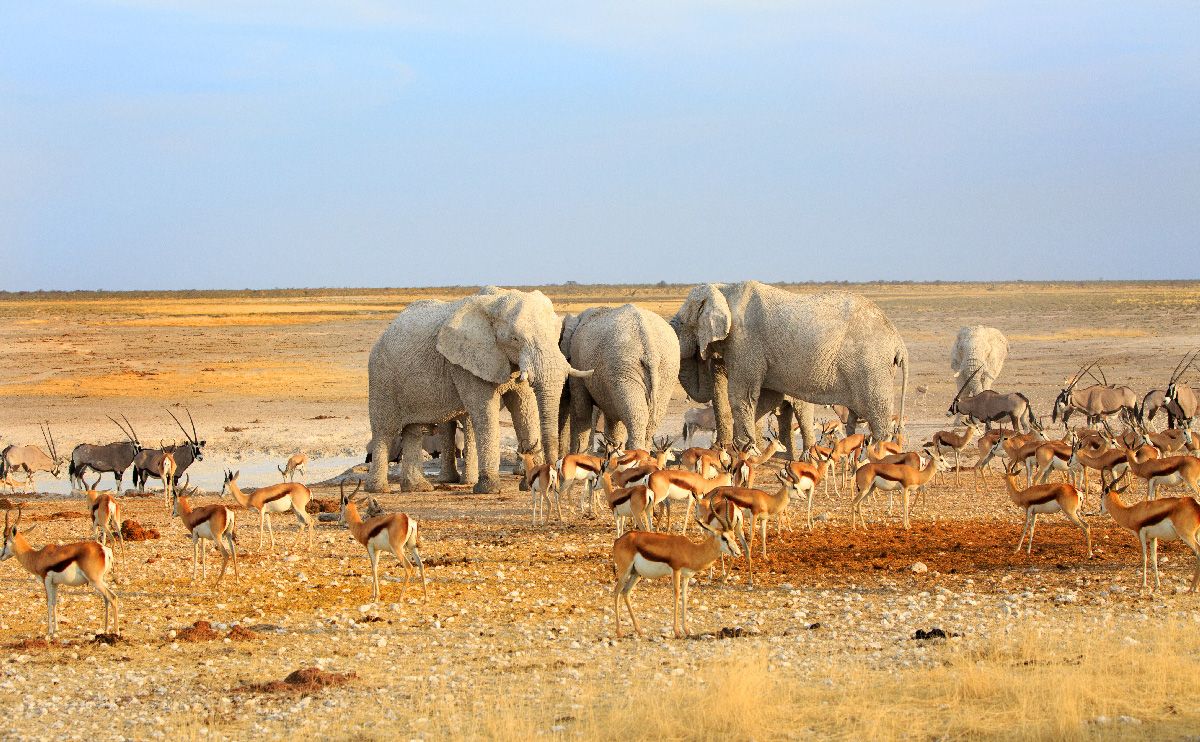 NAMIBIA-DESTINOS3